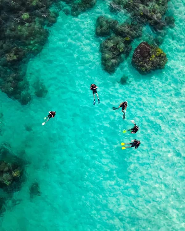 Go Snorkelling