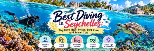Best Diving in Seychelles