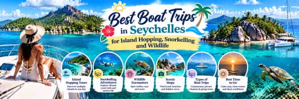 Best Boat Trips in Seychelles for Island Hopping, Snorkelling and Wildlife