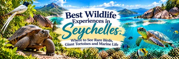 Wildlife Experiences in Seychelles