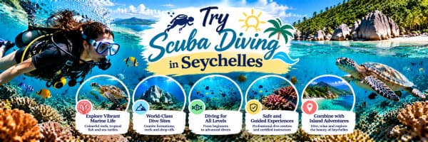 Try Scuba Diving