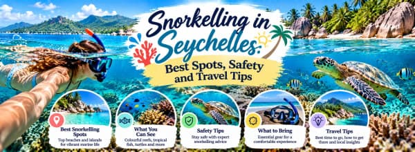 Go Snorkelling