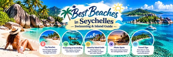 Explore the Beaches
