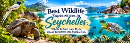 Wildlife Experiences in Seychelles